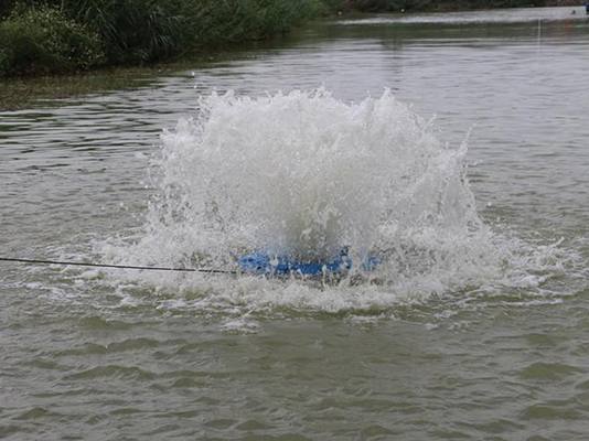 涌泉式噴泉曝氣機在河道治理.jpg