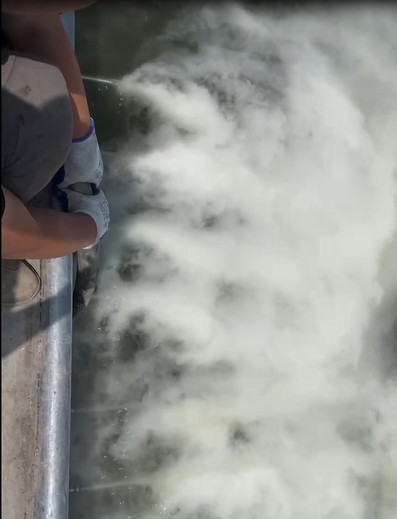 微納米氣泡發生增氧設備河道治理.png 微納米氣泡發生增氧設備河道治理.png