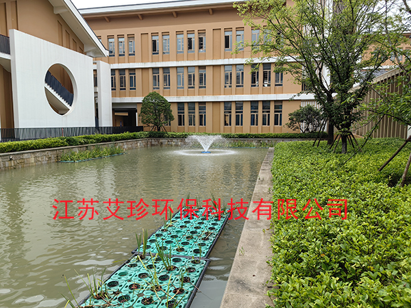 江蘇艾珍環(huán)保噴泉曝氣機廠家