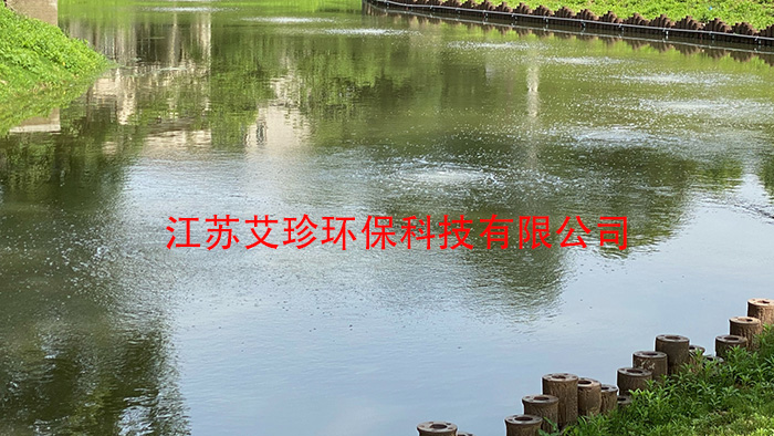 河道治理新利器:河道用微納米曝氣系統背后的“氧”生廠家.jpg