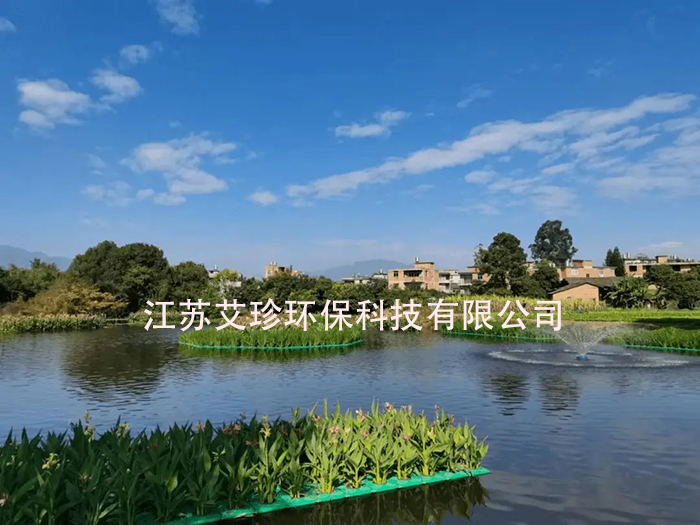 河道治理新招:多樣增氧,讓水體重煥生機.jpg