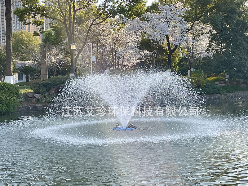 噴泉曝氣機(jī)噴泉式太陽能增氧系統(tǒng):讓水體煥發(fā)新生.jpg