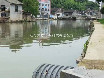 新農(nóng)村河道污水治理增氧曝氣系統(tǒng)水生態(tài)修復(fù)工程 艾珍