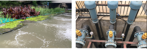 河道污水處理用沉水式魯式鼓風(fēng)機(jī)包安裝