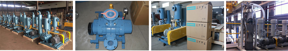 艾珍環(huán)保羅茨真空泵鼓風機價格參數(shù)選型圖片