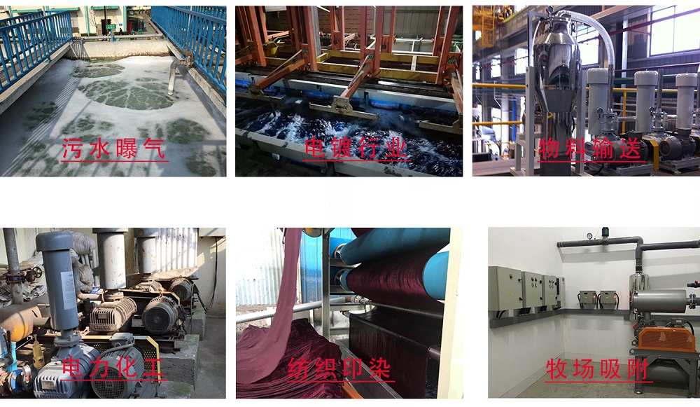 龍鐵羅茨鼓風機使用行業江蘇艾珍環保科技有限公司